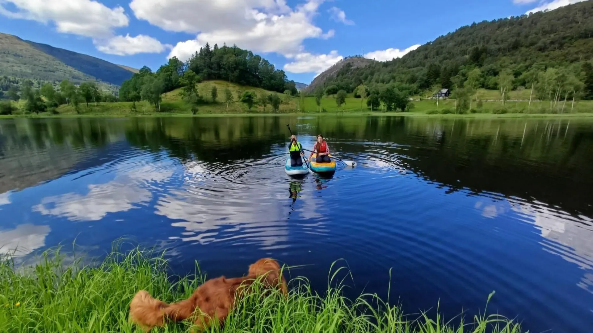 Nesvika Nature Reserve Apartment Only 20 Min Away From ベルゲン ノルウェー