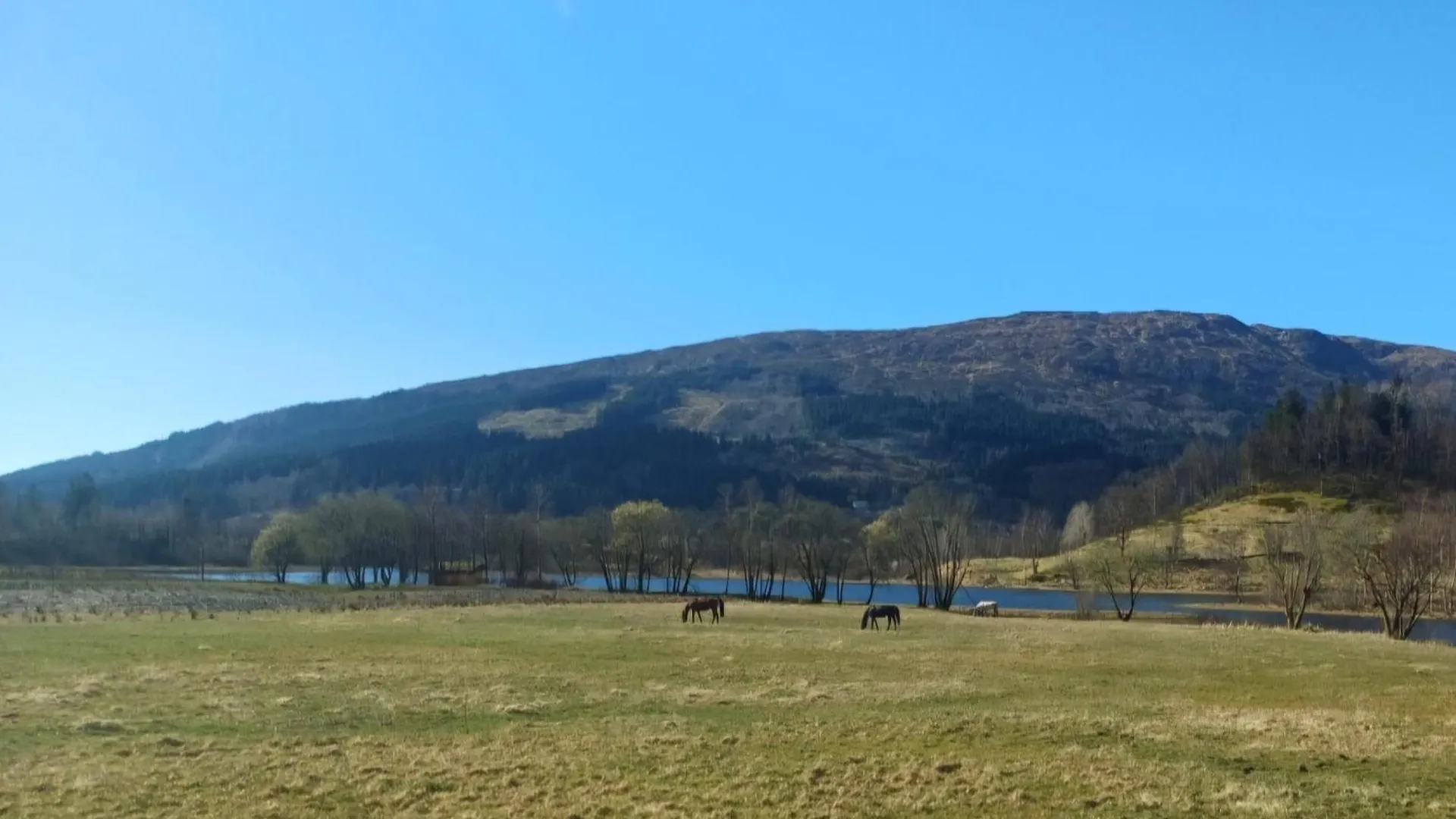 Nesvika Nature Reserve Apartment Only 20 Min Away From ベルゲン