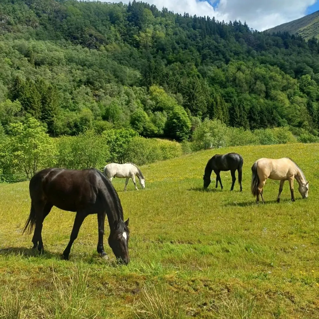 Nesvika Nature Reserve Apartment Only 20 Min Away From ベルゲン ノルウェー