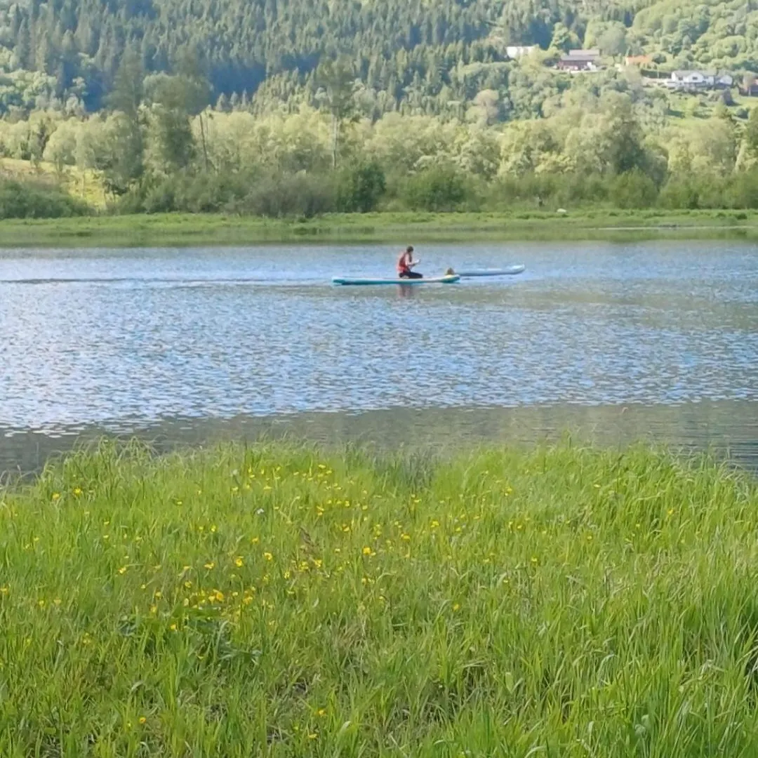 Nesvika Nature Reserve Apartment Only 20 Min Away From ベルゲン