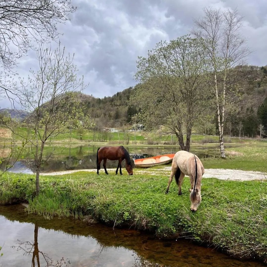 Nesvika Nature Reserve Apartment Only 20 Min Away From ベルゲン