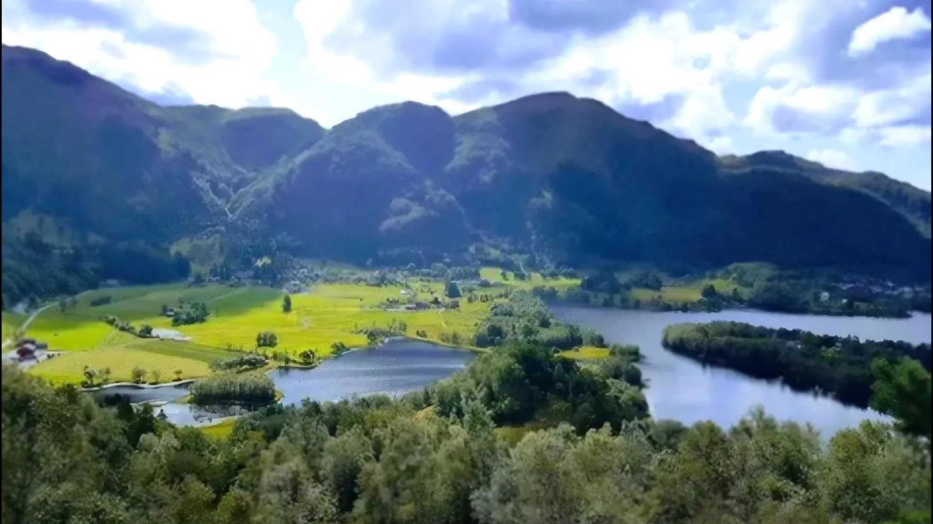 Nesvika Nature Reserve Apartment Only 20 Min Away From ベルゲン
