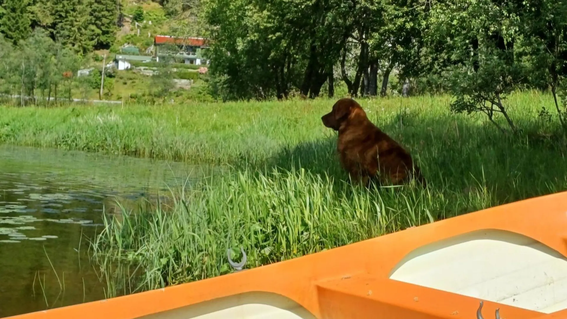 Nesvika Nature Reserve Apartment Only 20 Min Away From ベルゲン 0*,  ノルウェー