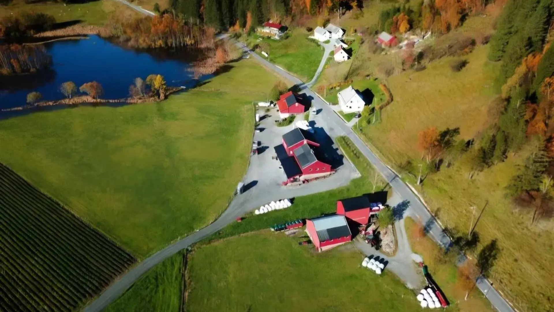 Nesvika Nature Reserve Apartment Only 20 Min Away From ベルゲン