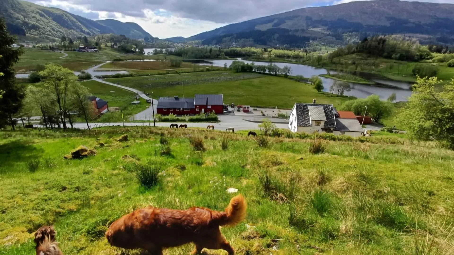 Nesvika Nature Reserve Apartment Only 20 Min Away From ベルゲン